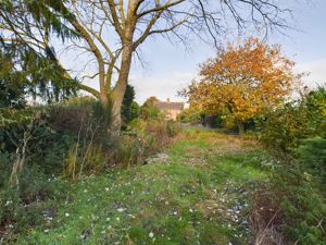 Garden- click for photo gallery